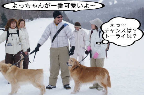 BlogPaint