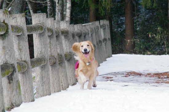 2012020806