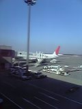 36f743e4.jpg