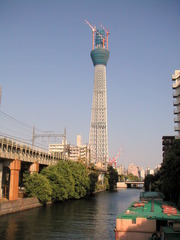 skytree