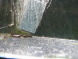 ab6bcc68.jpg