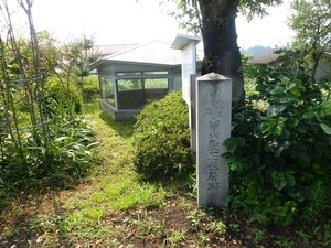中山敷石住居跡 (1)