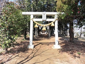 椿社神社 (2)