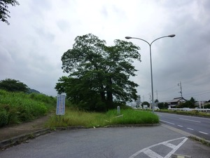 一里塚 (1)