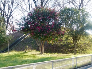亀塚山古墳 (1)