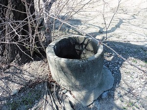 葵八幡2 (3)