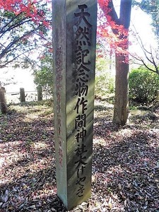作間神社 (10)