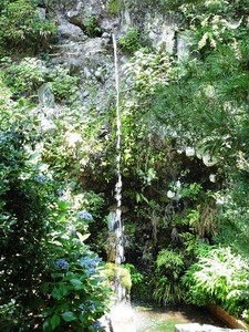 滝不動 (6)