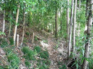 角田無幻道人の遺髪塚 (2)
