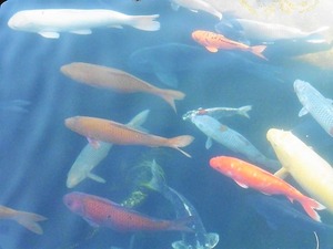 玄棟院 (9)