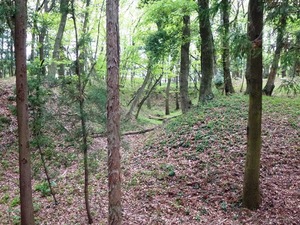膳城跡 (5)