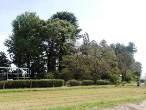 今井神社古墳 (1)