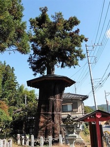 矢倉鳥頭神社 (11)