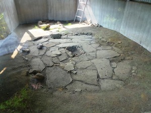 中山敷石住居跡 (2)