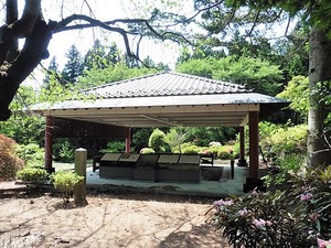 八木沢清水縄文時代住居跡 (1)