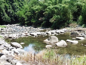 滝不動 (9)