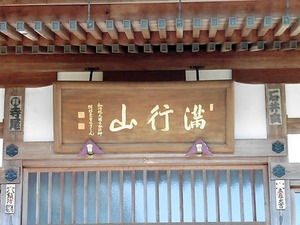 泰叟寺 (5)