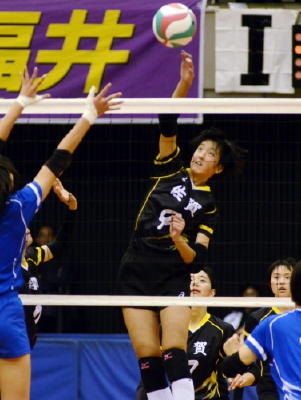 saga