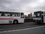 29d31d08.jpg