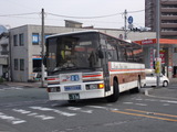 313bbd8c.jpg
