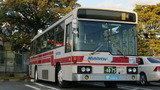 506261b8.jpg