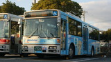 62c2a956.jpg