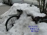 jitennsya