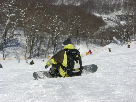 20080309 ネコマ (7)