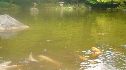 20110430093657
