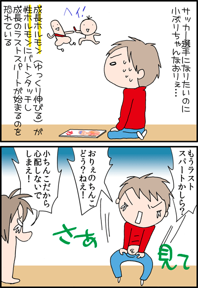 て ちん げ くる 時期 が 生え