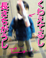 むすこ