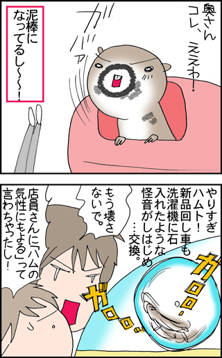 ちくわの穴から星☆を見た *4コマ-ハム土2