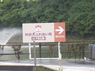 RIMG7232_R
