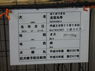 RIMG7240_R