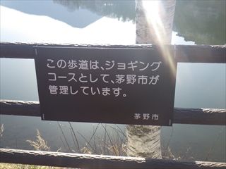 151