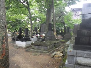 RIMG7225_R