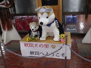 RIMG7213_R