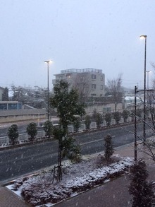 20140204 Ω½Õ