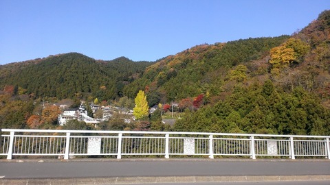 WP_20131123_005
