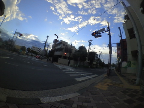 SHIM1044