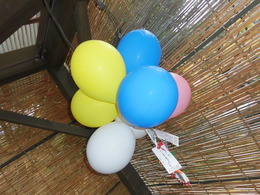 CIMG9538