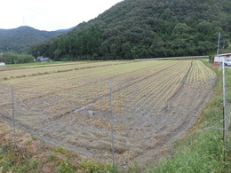 CIMG9265