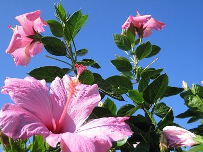IMG_0342-s