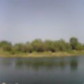 04ae6985.jpg
