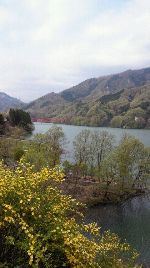 2011050515400001