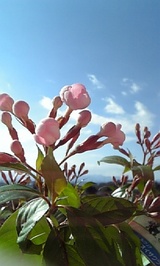6f5b2e40.jpg