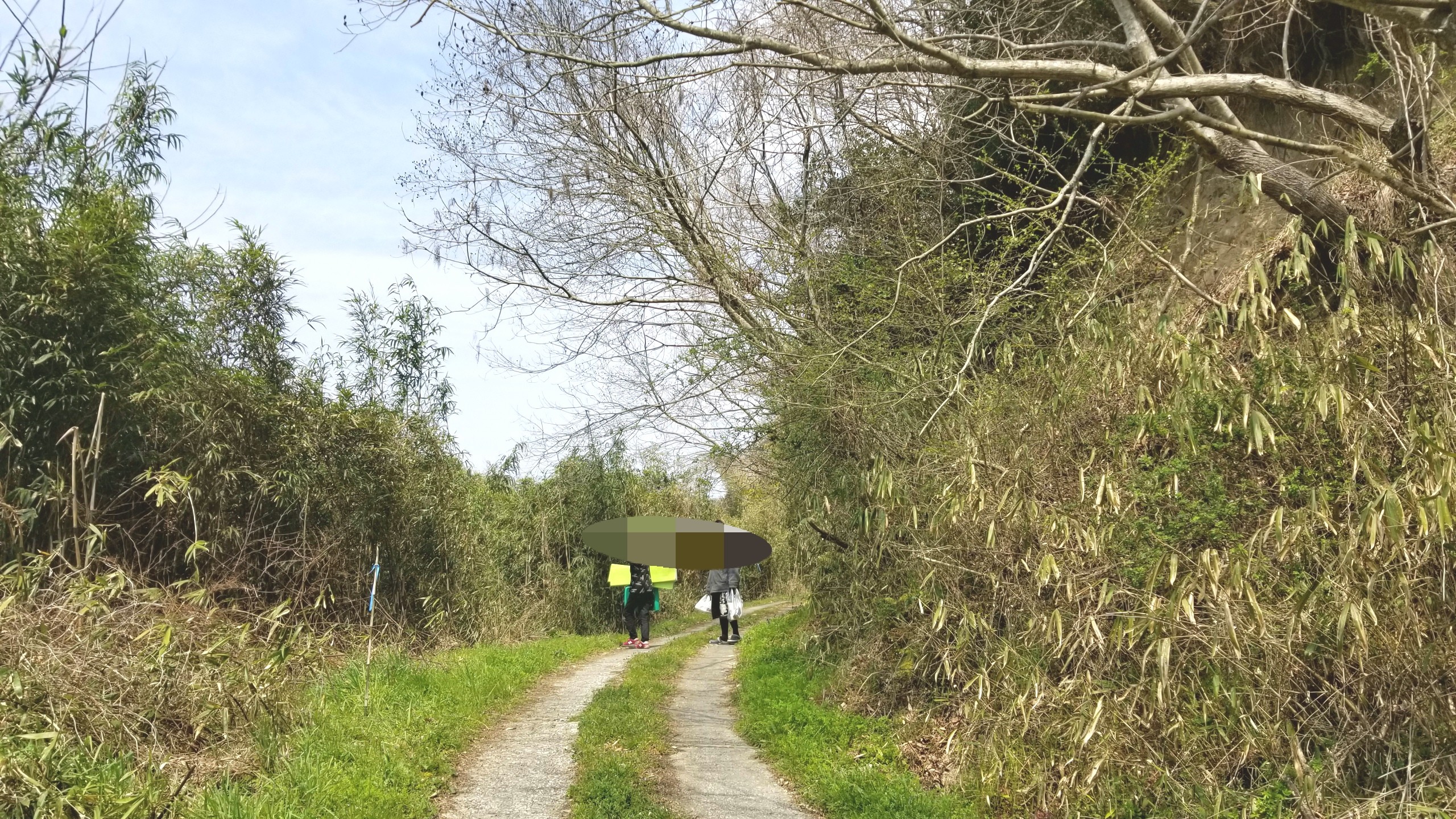 つくし採りに行った,山へ登った,癒される大自然,山の空気は爽快