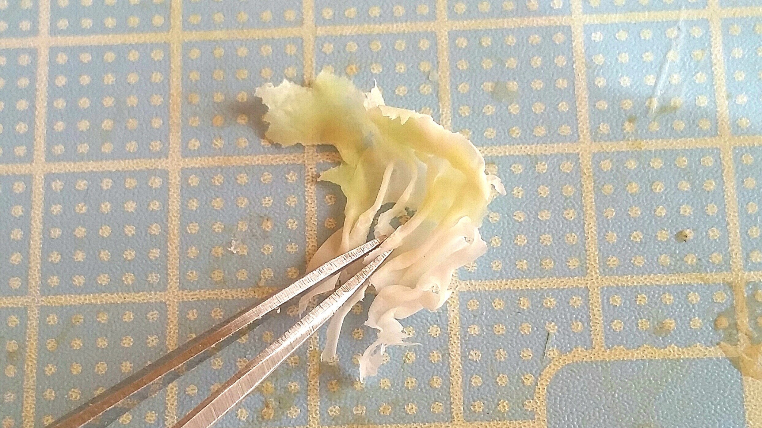 ミニチュアフード,キャベツ,レタス,作り方,樹脂粘土,おすすめブログ