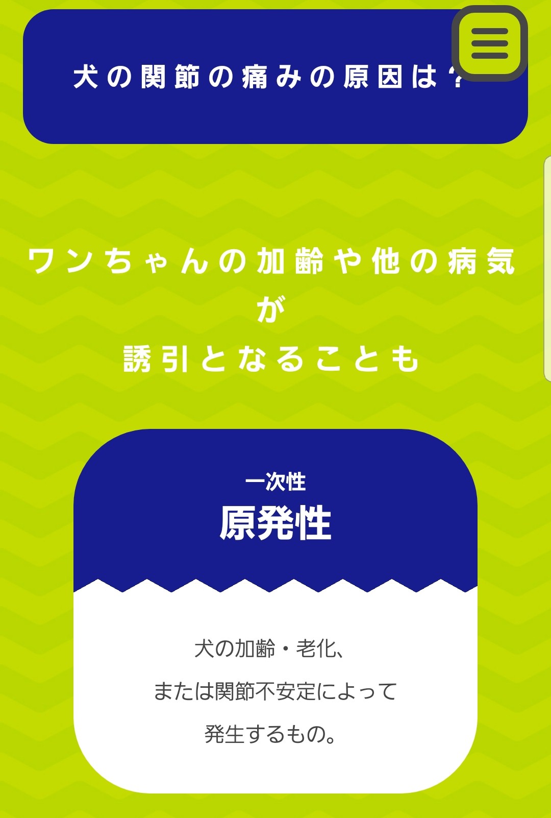 膝蓋骨脱臼,パテラ,愛犬,犬の病気,関節の痛み,老犬,ペット,小型犬