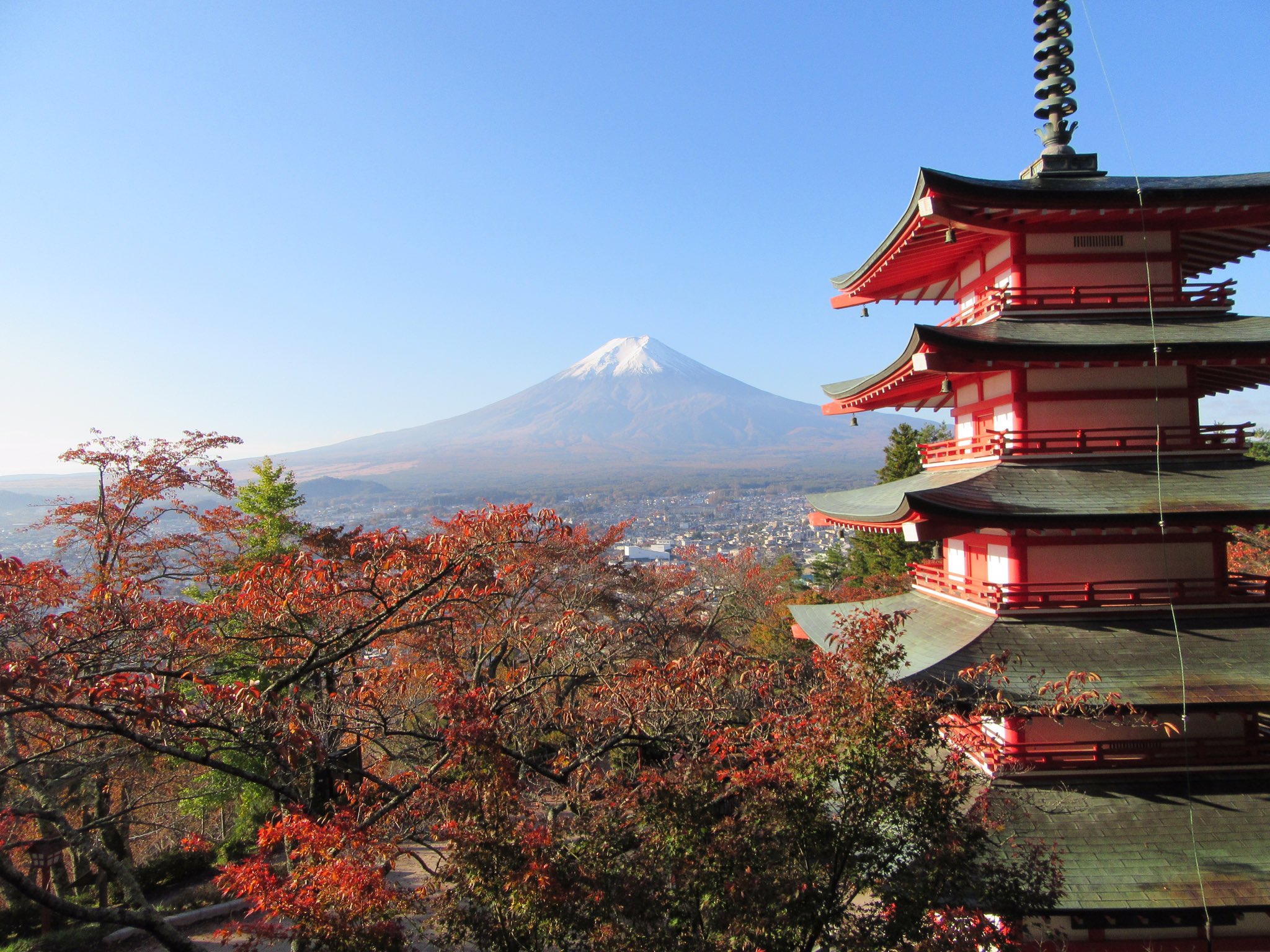 線維筋痛症,よもぎブログ,辛い,発症,ずっと痛い,激痛,マッサージ